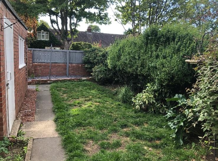 Overgrown garden before landscaping